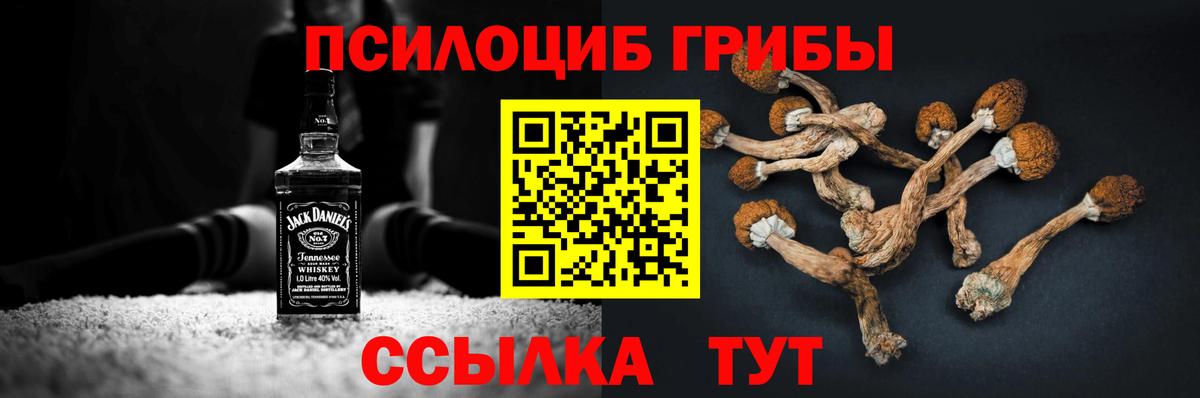 Галлюциногенные грибы Magic Shrooms  Вход с VPN  Галлюциногенные грибы ЛСД  Камышин 